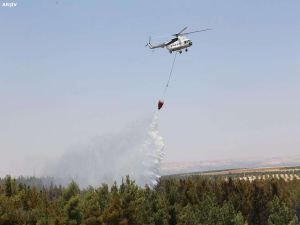 Bodrum'da orman yangını: 7 uçak ve 6 helikopterle müdahale ediliyor