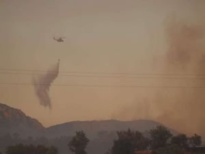 Tarım ve Orman Bakanlığından Datça yangınıyla ilgili yeni açıklama