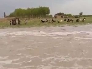 Afganistan'da sel: 10 polis hayatını kaybetti