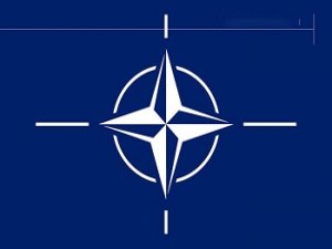 NATO'dan Rusya'ya referandum tepkisi