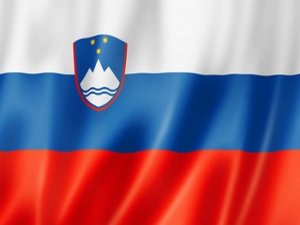 Slovenya'da cumhurbaşkanlığı seçimi ikinci tura kaldı