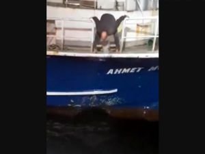 Balıkçı teknesi mayına çarptı