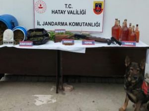 Hatay'da uyuşturucu operasyonu: 30 kilogram esrar ele geçirildi