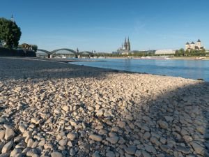 Almanya'da kuraklık alarmı