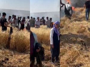 Diyarbakır'da 40 dönüm ekili alan yandı