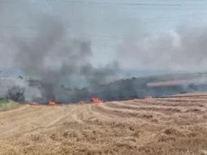 Çanakkale'de çıkan yangında 50 dönümlük buğday tarlası zarar gördü