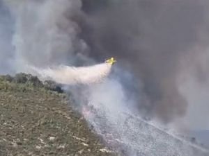 Milas’taki yangında 170 hektar alan küle döndü