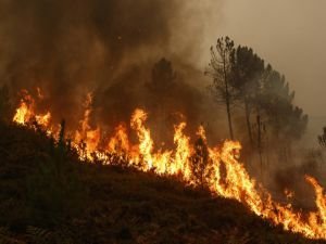 Hatay'daki orman yangını devam ediyor