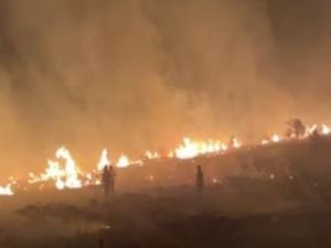 Viranşehir'de korkutan yangın