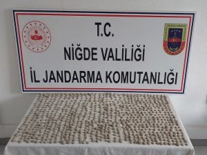 Niğde'de tarihi eser operasyonu