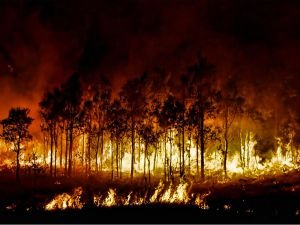 Endonezya orman yangınları ile mücadele ediyor