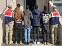 Jandarma tarafından Ağrı'da 24 düzensiz göçmen yakalandı