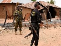 Nijerya'da silahlı saldırı: 7 ölü
