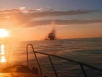 Yük gemisi Karadeniz'de mayına çarptı: 2 yaralı
