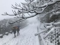 Tayvan'da soğuk hava nedeniyle 145 kişi öldü