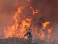 Şili'de orman yangını 131 ölü, 300 kayıp
