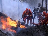 Çin'de orman yangını
