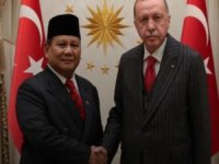Cumhurbaşkanı Erdoğan Endonezyalı mevkidaşı Subianto ile görüştü