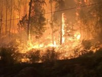 Kanada’da orman yangını