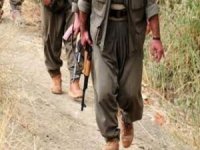 İkna yoluyla bir PKK'lı daha teslim oldu
