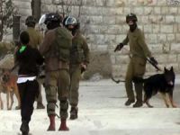 Siyonist çeteler 13 Filistinliyi alıkoydu