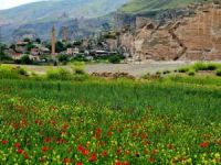 Antik kent Hasankeyf flora ile süslendi