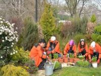 İBB'nin "Bahçıvanlık Kursları" sahada devam ediyor