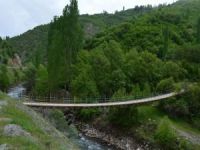 Bitlis yaylalarında baharın güzelliği göz kamaştırıyor