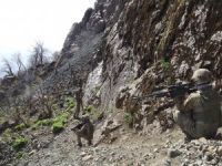Şırnak'ta 5 PKK'lı öldürüldü