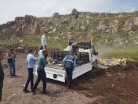 Diyarbakır’da bir ton 500 kilo balık imha edildi