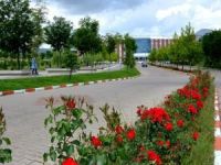 Bingöl Üniversitesine 14 yeni bölüme öğrenci alınacak