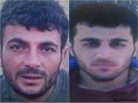 Tunceli'de arananlar listesindeki 2 PKK'li öldürüldü