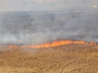 TZOB: Anız ateşi toprağı öldürüyor