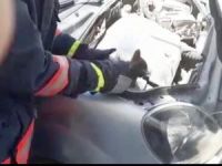 Otomobilin motor bölümüne sıkışan kedi kurtarıldı