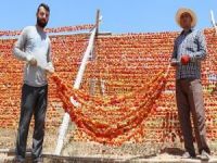 Gaziantep'te kurutmalık sebze sezonu başladı