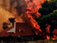 Yunanistan'da orman yangınları: En az 50 ölü