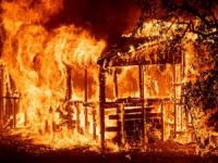 Kaliforniya'da yangın dehşeti büyüyor