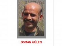 Gri listedeki PKK'lı Diyarbakır'da öldürüldü