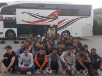 Siirt'te 50 kaçak göçmen yakalandı