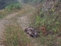 Gümüşhane'de Türk Tarık ve 1 PKK'lı öldürüldü