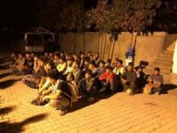 Van'da 52 göçmen yakalandı