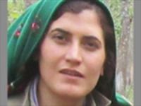 Gri kategoride aranan kadın PKK'lı öldürüldü
