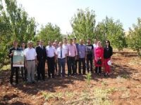 Mardin’de organik tarım yaygınlaşıyor