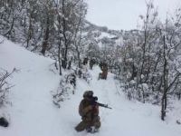 Bitlis'te PKK'ya yönelik geniş çaplı operasyon başlatıldı