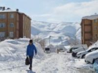 Bitlis'te 136 köy yolu ulaşıma kapandı