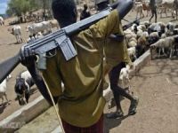 Nijerya'da çobanlar çiftçilere saldırdı: 17 ölü