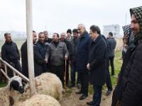 Hilvan Belediye Başkanı hayvan pazarı esnafını ziyaret etti
