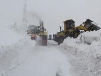 Bingöl'de kar yağışı nedeniyle 198 köy yolu ulaşıma kapandı
