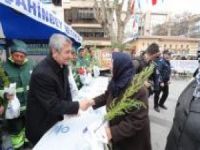 Gaziantep’te 150 bin ücretsiz çam fidanı dağıtıldı