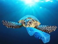 Avrupa Parlamentosu plastik ürün kullanımını yasaklıyor